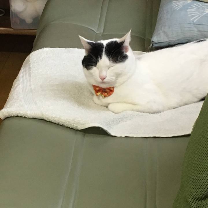 A1a76d65 7485 4a02 95a4 19eee22d3a10