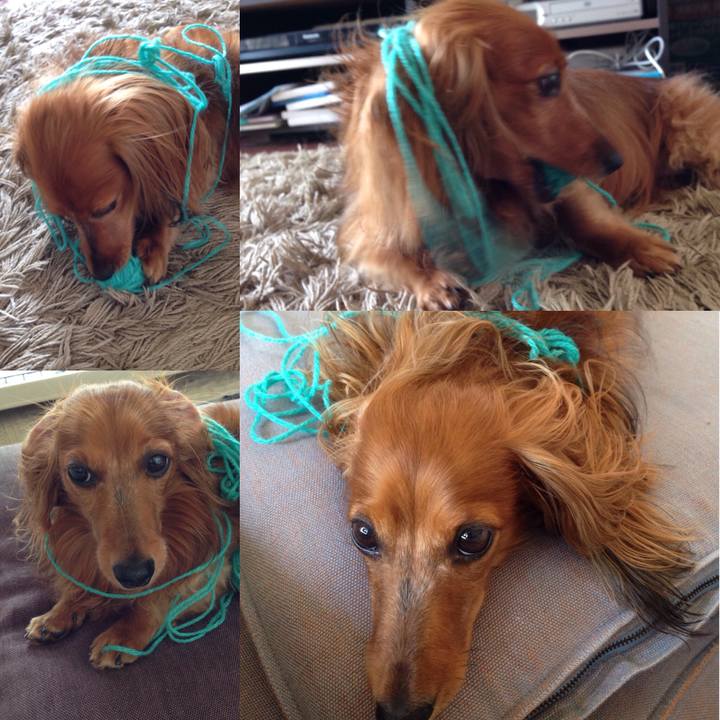 A1a7fb48 34d9 408f b504 5b5a18e3da78