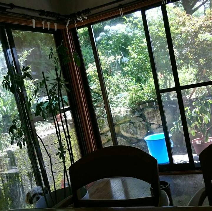 A1a8822f 56ce 4011 bb5e 809b6465278c