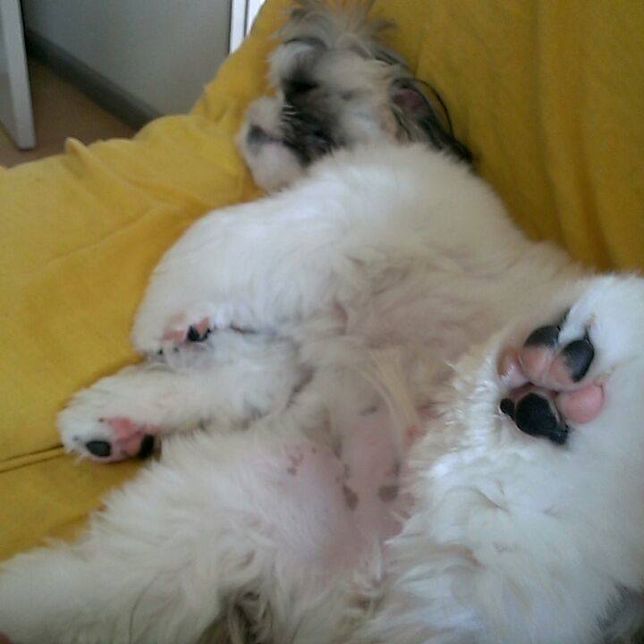 A1a8952f f5dc 4b51 8689 45a0e4a73129