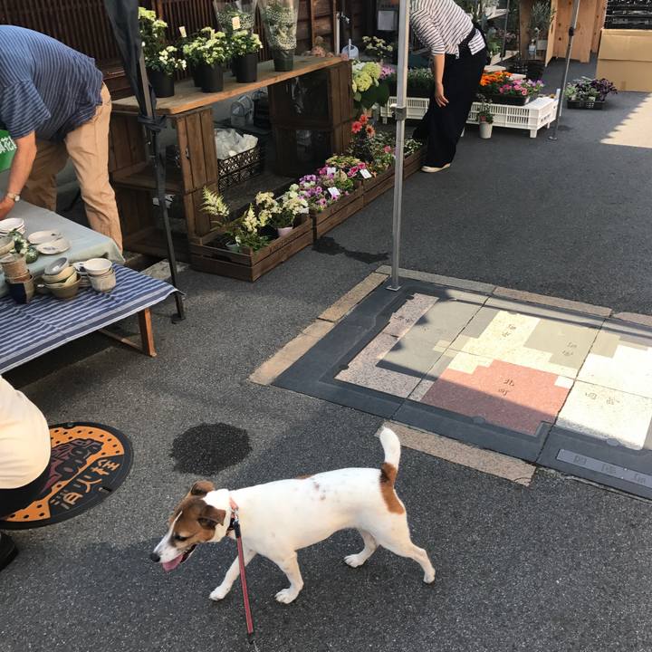 A1a9852e 3009 4890 95c4 34251f98d32f