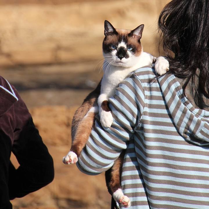 A1a9b60b 9178 47c1 becc 8ab33d22c175