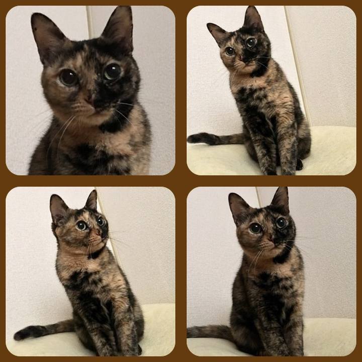 A1aa2b7b cf06 4977 8c0c 0607bd30cf4d