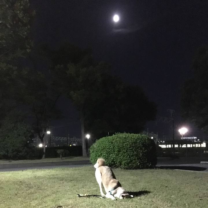 A1ab5bc9 5a1b 493c b764 7aaf248806aa