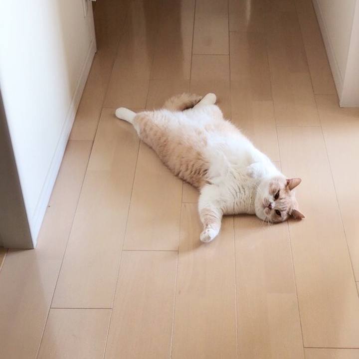 A1ab5c83 c39d 4c85 934b e3af98bc94f6