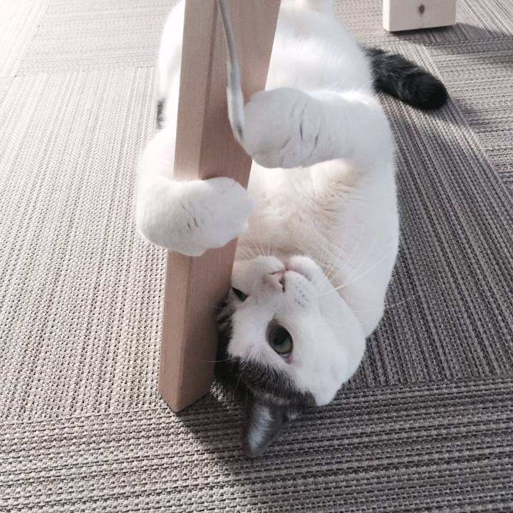 A1abc002 31a1 4121 9c4b 8bbad0b04f18