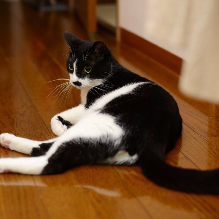 A1acba66 5072 4069 91bf 2a463fe3f749