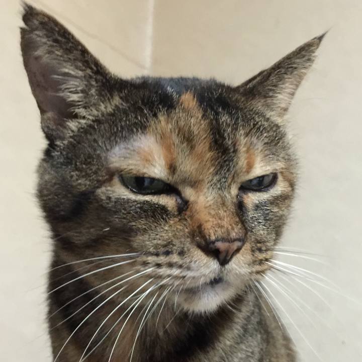 A1ad31f5 ed0a 4b14 8db5 1b248e351d16