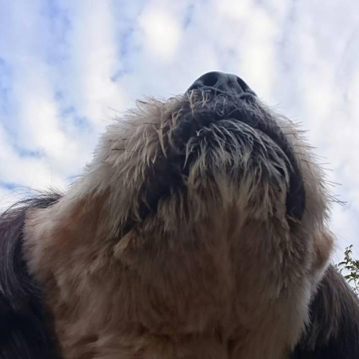 A1ada51e 79ca 44b8 a6b7 f6486cac8cd6