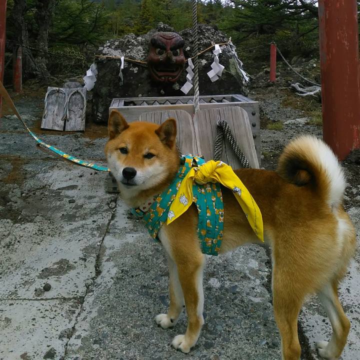 A1adab46 022f 4032 a33f 9cf0a97c5d20