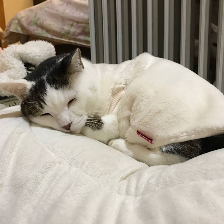 A1adf60b 7069 4244 86b5 075d414717f3