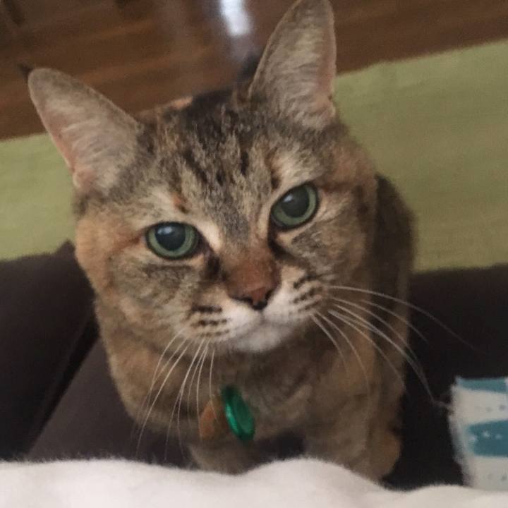 A1ae43e5 8d1c 414f aa01 f3ca64e284f3