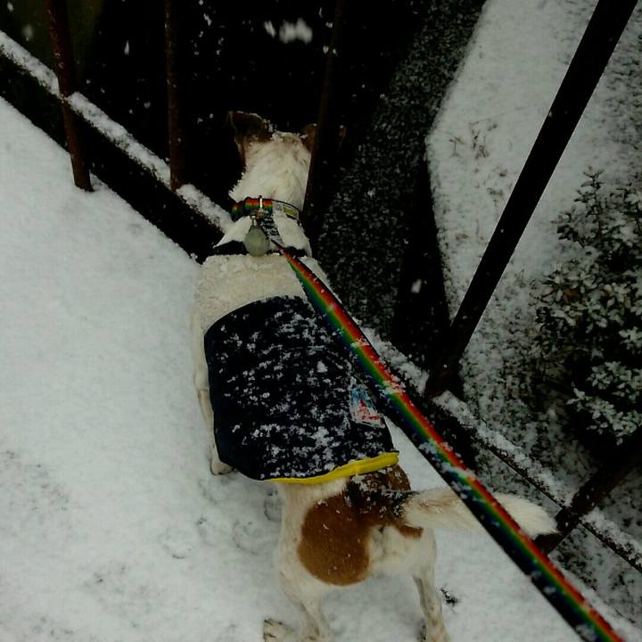 A1ae5032 fdaf 4e5a b9b3 dc693d1ec5f5