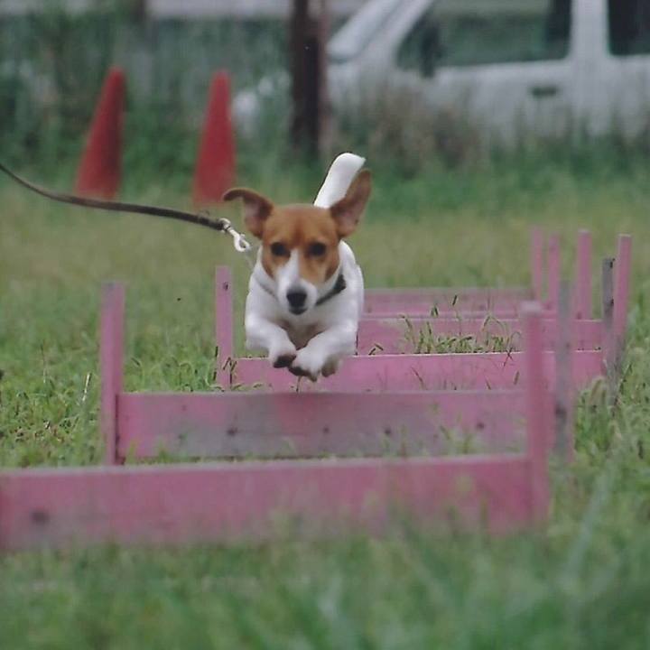 A1ae7dde f767 41f9 ba85 78f6276cd64b