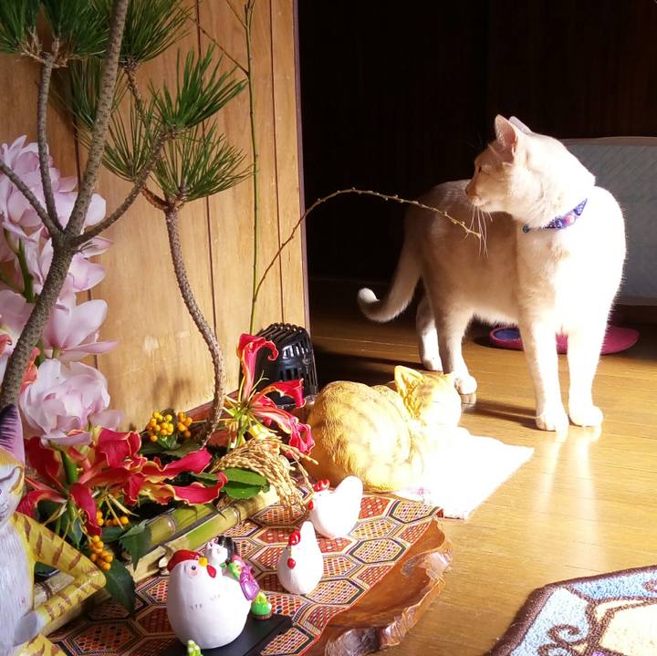 A1af3798 00b4 4771 8b0e af5abcb16ddd