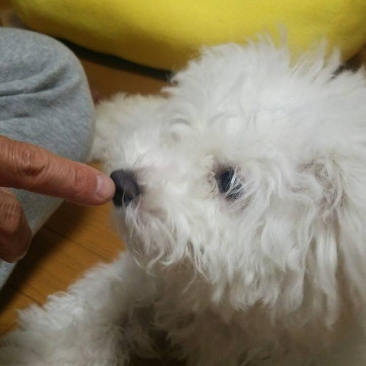 A1afe7af 024a 4798 9096 91d740dc1317