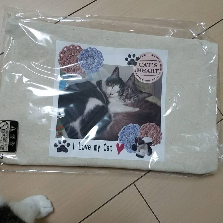 A1b00945 6a84 425c a65c 26ce40aaef50