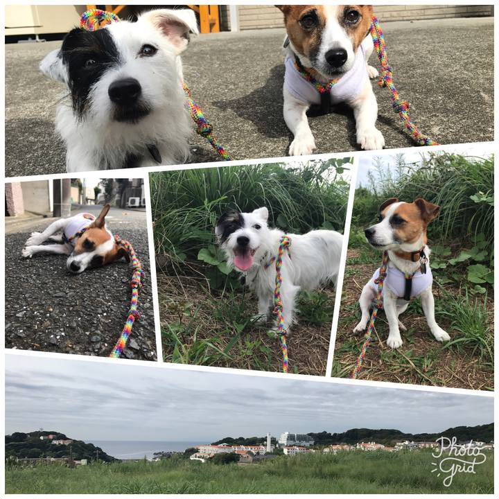 A1b10658 8c07 4b1a b19c 234badfbb00a