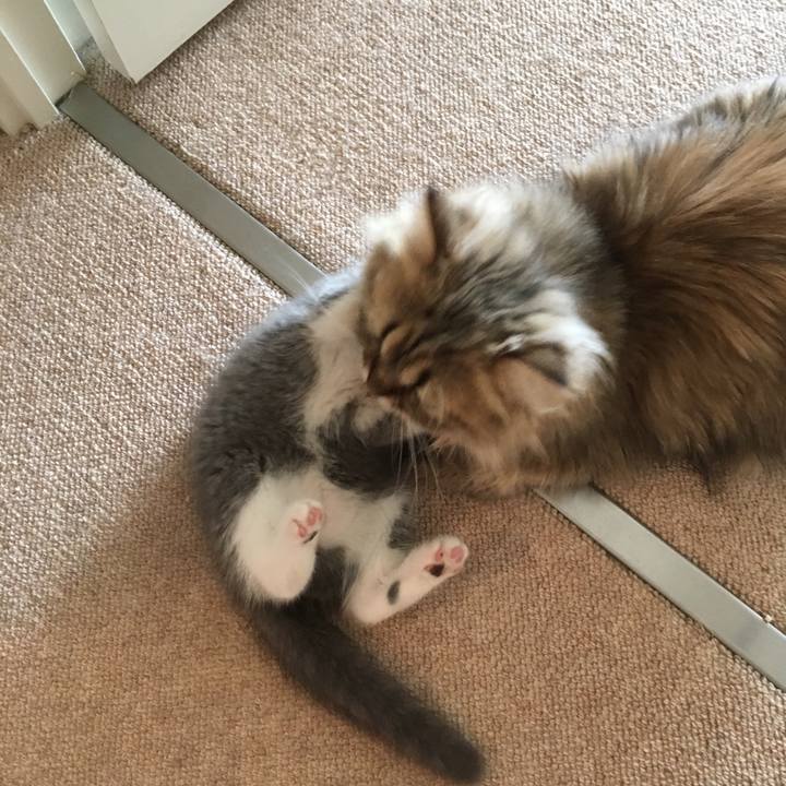 A1b16dff 7e94 4310 b6e0 9437cf822070