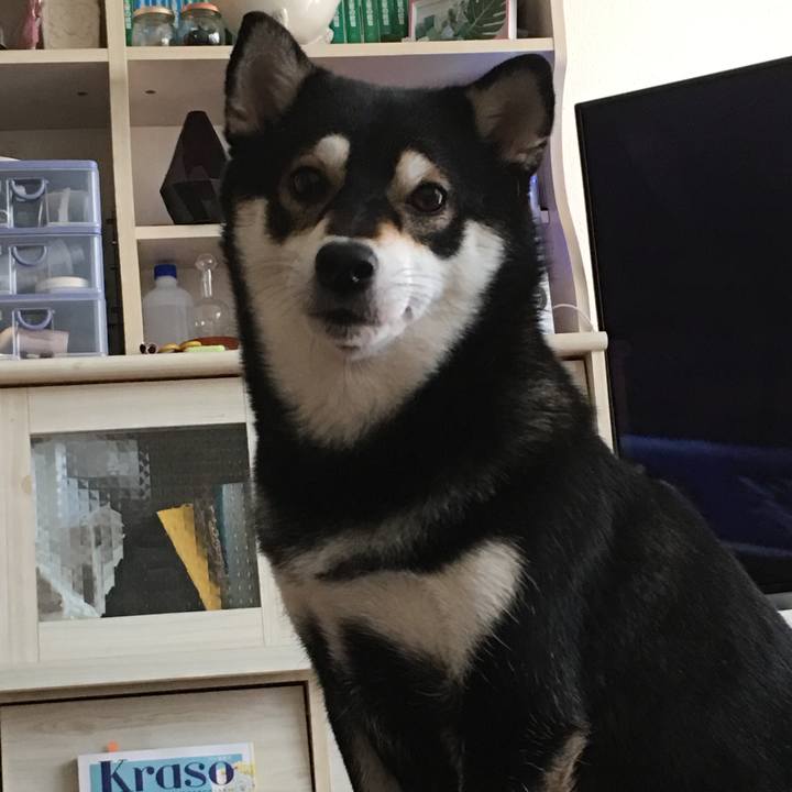 A1b1761d 86e6 40ac 8b50 844b3c57f953