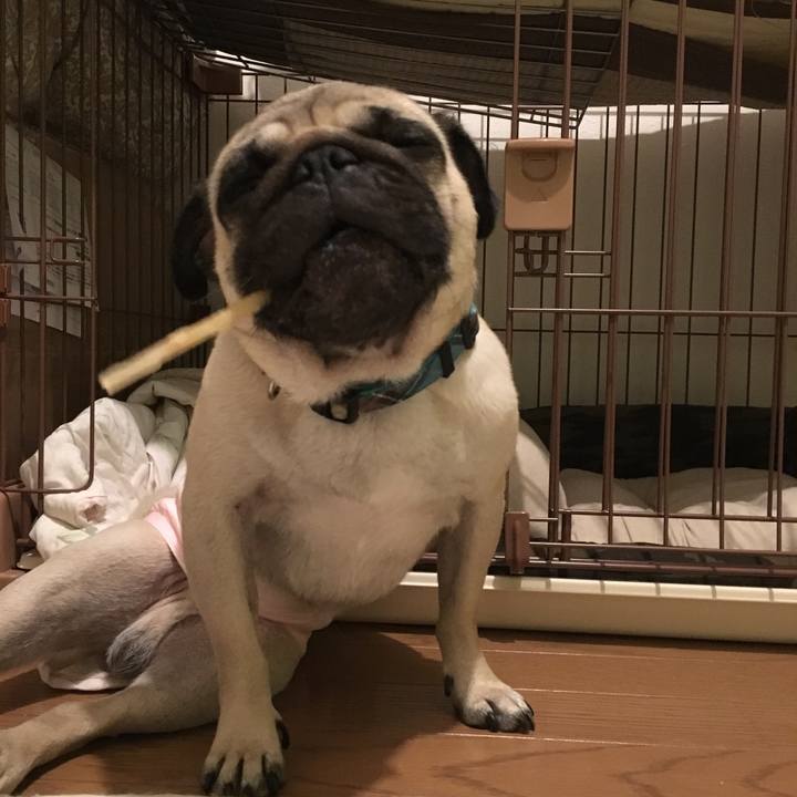 A1b1db99 a94d 4340 8794 780e6d85abae