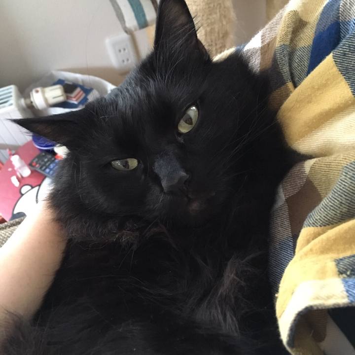 A1b1e136 6d32 4c74 89f7 456c1b4e8d4a