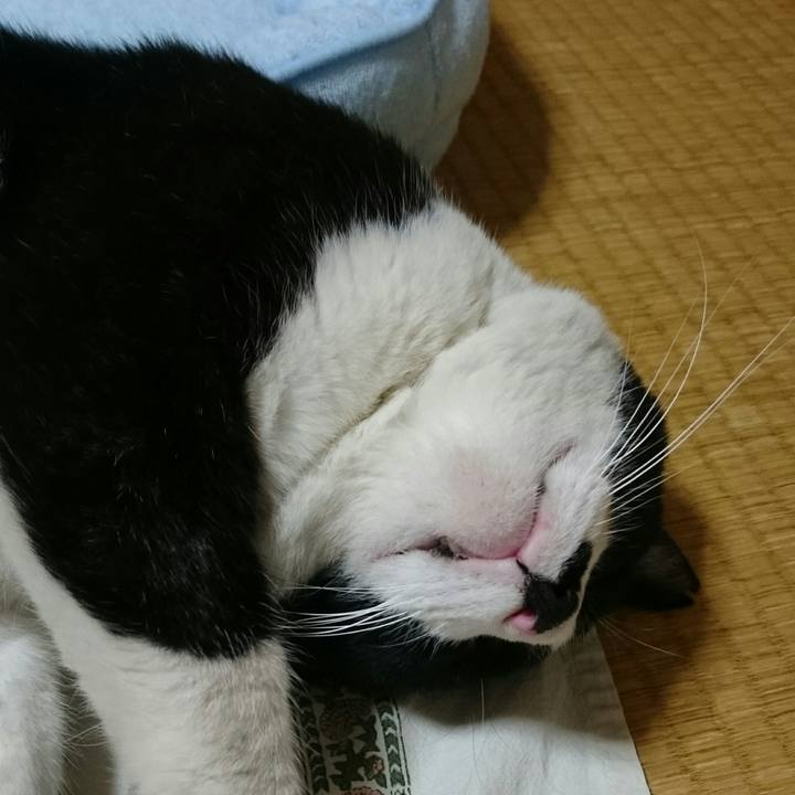 A1b2ce54 3a24 44b1 a7ba b39496fe2747