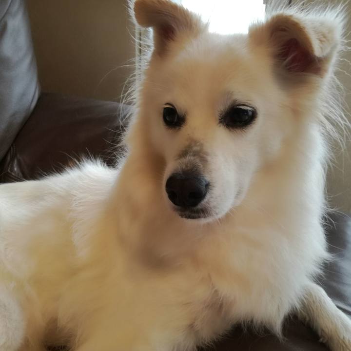 A1b301e6 b1d9 401f 9974 703f809dc094