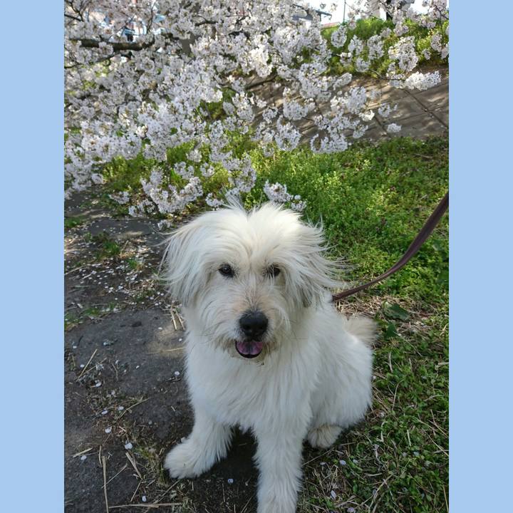 A1b30cfd 6b35 4174 ac80 47de1145c9e5