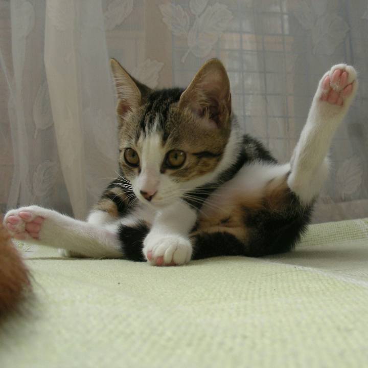 A1b37119 5f55 4926 a5d1 9888724e7690