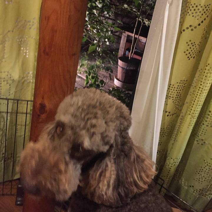 A1b3f2fd f2ef 4eb3 a16c a3747400061e