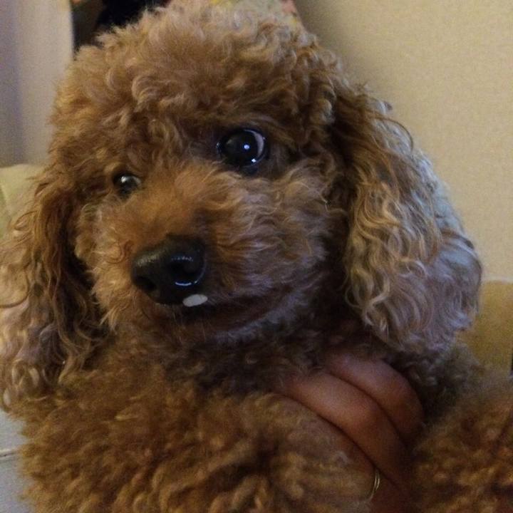 A1b40eb3 c860 420c 93c7 e23a7649fa6f