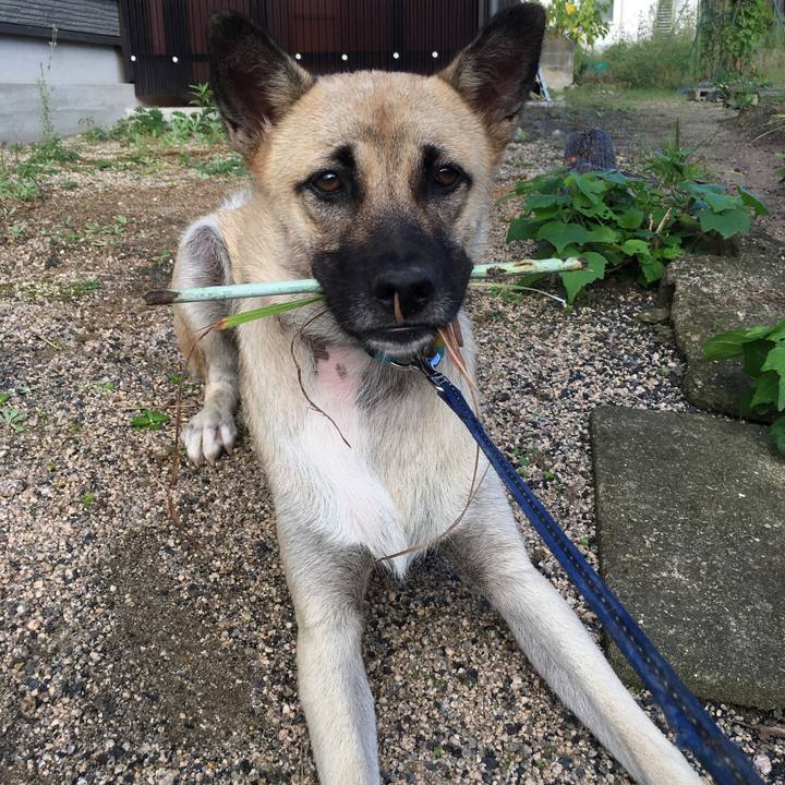 A1b413a5 6c4f 4792 9010 858ef4724ce3