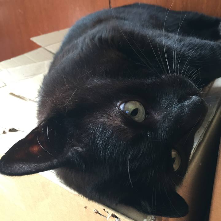 A1b42bf5 d9a9 451b 92f2 1d478cbef980