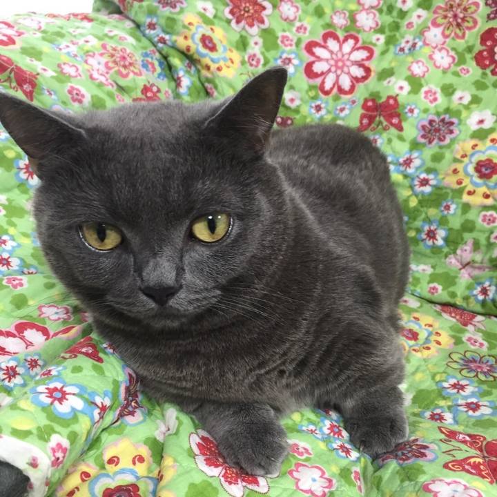 A1b524fc a336 4827 887b b6fe7a696ea7