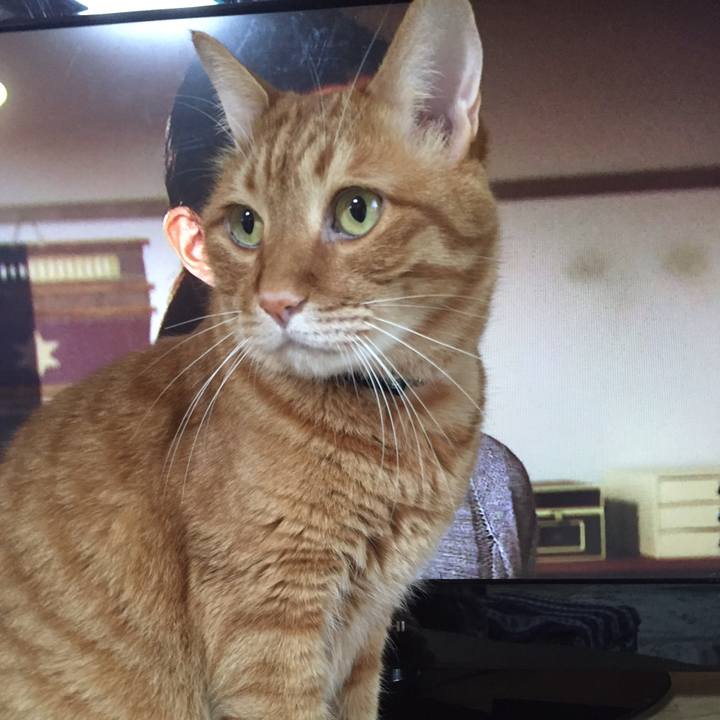 A1b58cf7 8783 433e 9980 8b7a826b5694