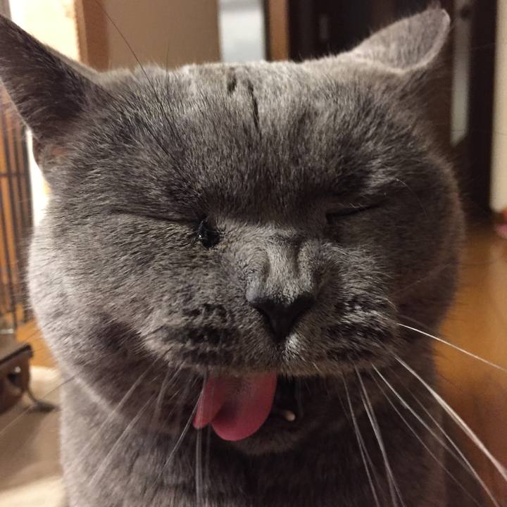 A1b5c11e bee7 452e 921a 752a6ba2f9e9