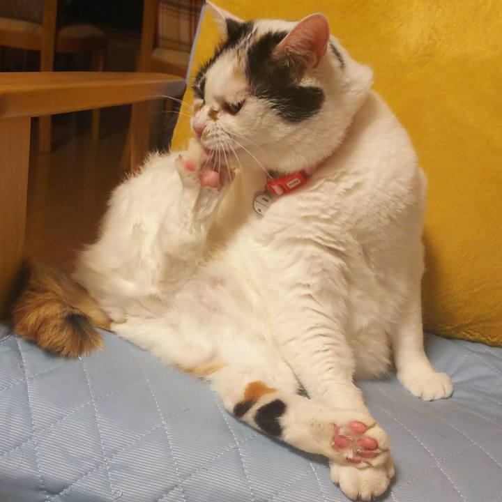 A1b5cb78 f810 44ce 80d1 a362d84a97f8