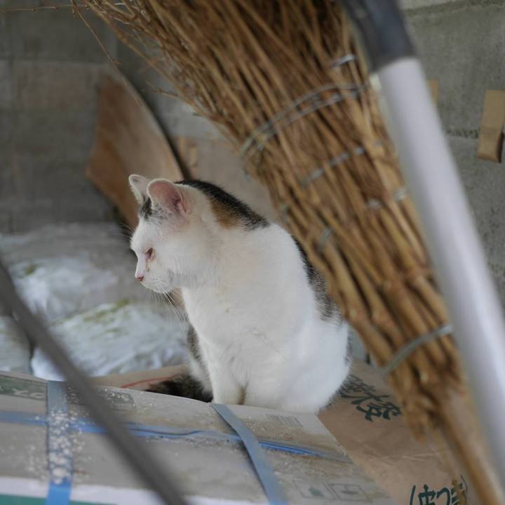 A1b60b88 4f6d 446b a8e3 29929fd25419