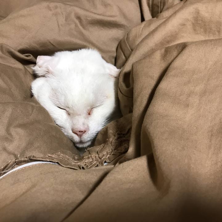 A1b66abd 4615 4549 bd76 1e78ce4735f8