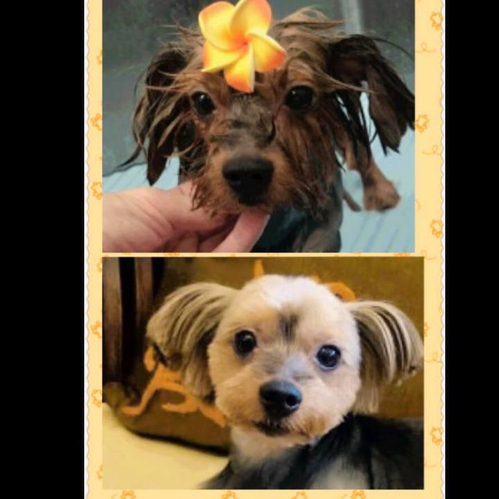 A1b6dd90 9825 4ae9 a789 5b9e248f9901