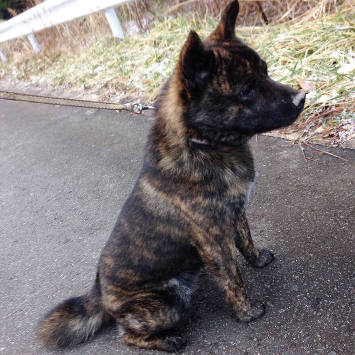 A1b6f68d a1bd 4ed3 95d4 e2ce95ad5045