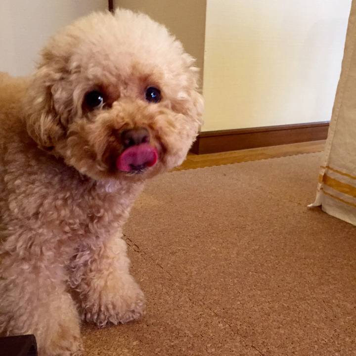 A1b76426 7b16 4c6a b4eb d6728f064462