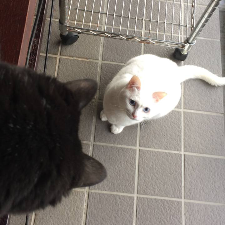 A1b7769a 16f5 45cf 8775 4cdd7a7bb0f2