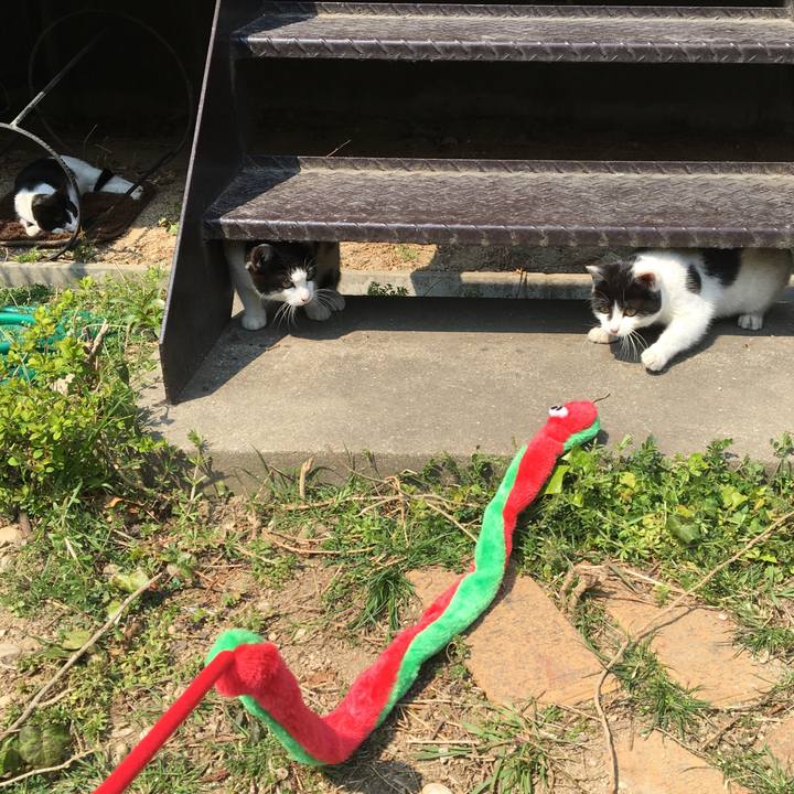 A1b80645 e96e 4867 afb1 a996f352be5f