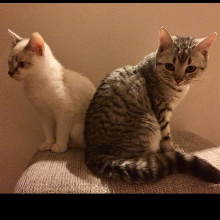 A1b88bf1 418a 4bec 8087 735b1b723741