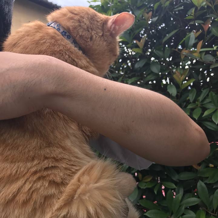 A1b89f26 4495 4d90 975f f5ef049f5669