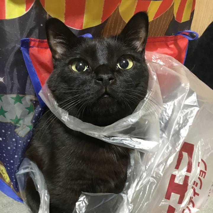 A1b8d81c d493 46c9 b70d 90717d180077