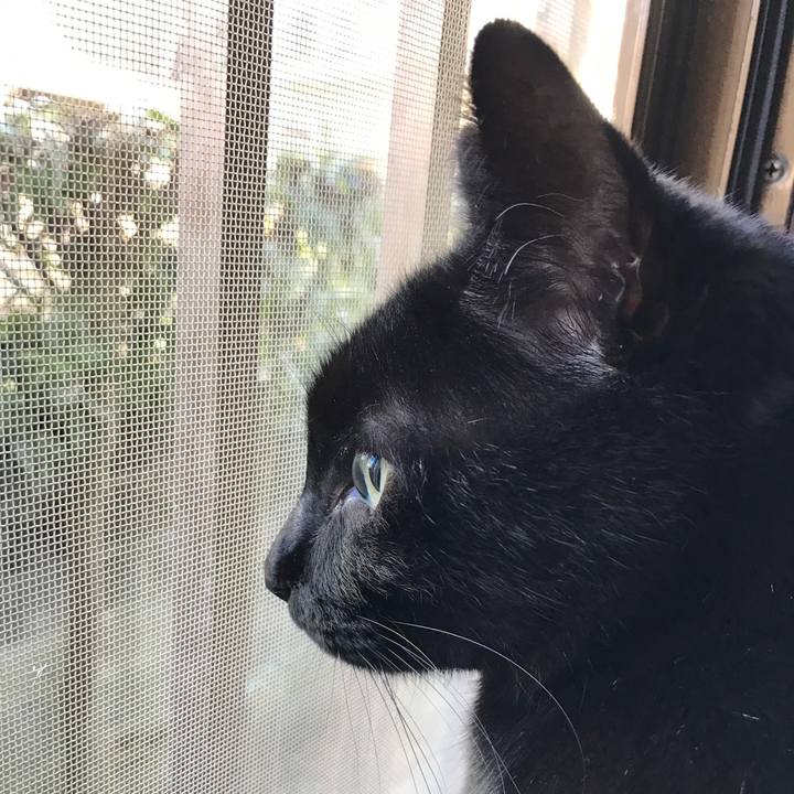 A1b8fd8a 5f6d 4b7d a9b7 6ddad7840020