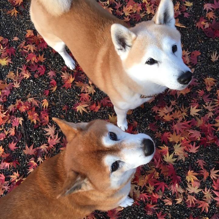 A1b9624b b4db 4e9f b133 3ae8e55ea123